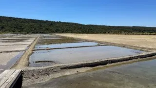 Slovinsko Trip - Sečoveljské solné panve