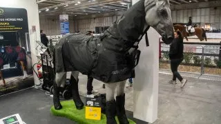 Fieracavalli 2025