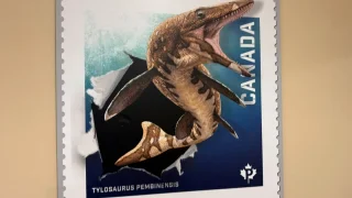 Fotr na tripu 10, dinosauři