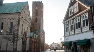 Subaru trip Dánsko, Romo, Mando