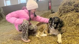 Fotr na tripu 11, Slovensko