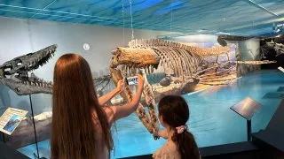 Fotr na tripu 10, dinosauři