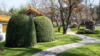Ford trip, Čínská zahrada Curych