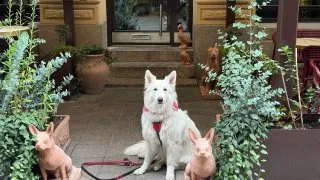 Fotr ve Finsku, Helsinky