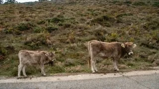 Dacia Bigster, trip Itálie, Bruncu Spina