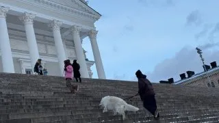 Fotr na tripu 11, VW Caravelle