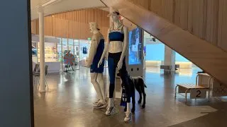 Fotr na tripu 11, Emil Zátopek, Helsinky