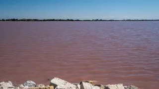 Ford trip, Camargue