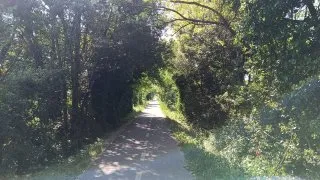 Parenzana III