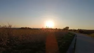 Neusiedler See