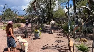 S pejskem na Route 66