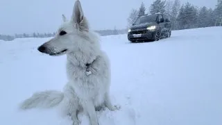 Fotr za polárním kruhem