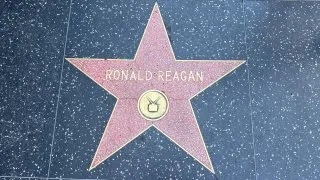 Fotr na tripu 12, Hollywood
