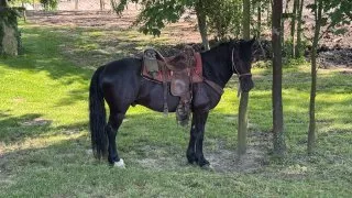 Farma Bláto