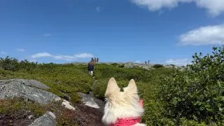 Fotr na tripu 10, vikingové