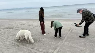 Fotr na tripu 9, Prora
