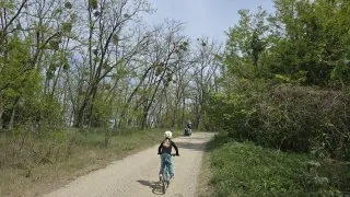 Žitný ostrov, vodní mlýny na kole