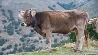 Dacia Bigster, trip Itálie, Bruncu Spina