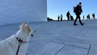 Fotr na tripu 11, Oslo