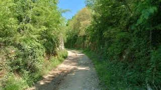 Parenzana II