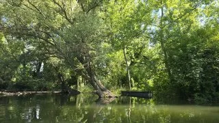 Žitný ostrov, kajak