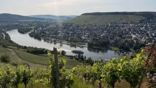 Fotr na tripu 11, Bernkastel-Kues a okolí