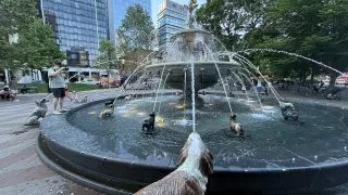 Fotr na tripu 10, psí fontána