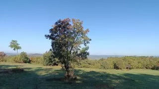 Balaton, Maďarsko