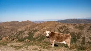 Dacia Bigster, trip Itálie, Bruncu Spina