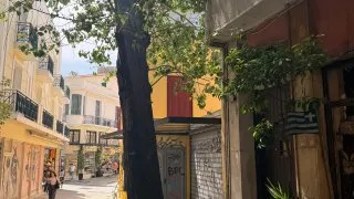 Fotr na tripu 11, Akropole