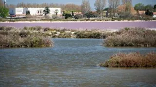 Ford trip, Camargue