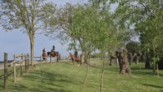 Žitný ostrov, vodní mlýny na kole