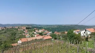 Parenzana III