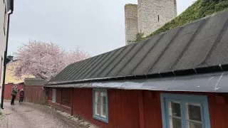 Fotr na tripu 9, Gotland