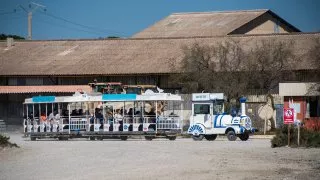 Ford trip, Camargue