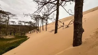 Ford trip, Duna du Pyla