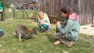 Fotr na tripu 11, Slovensko