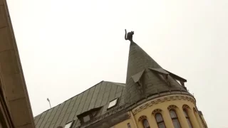 Fotr na tripu 9, Lotyšsko
