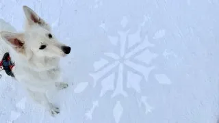 Fotr za polárním kruhem