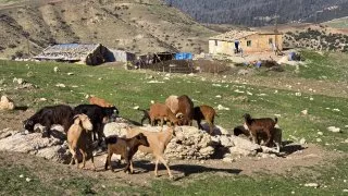 Maroko, okolí Ifrane