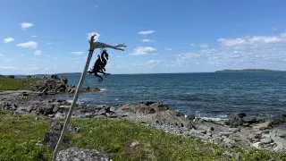 Fotr na tripu 10, vikingové