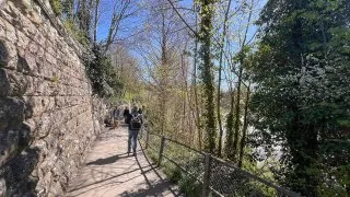 Ford trip, Rýnské vodopády