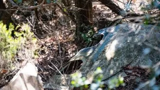 Dacia Bigster, trip Itálie, Cagliari