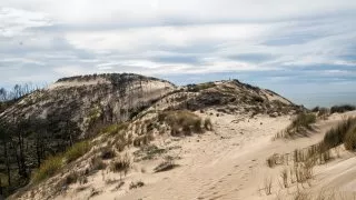 Ford trip, Duna du Pyla