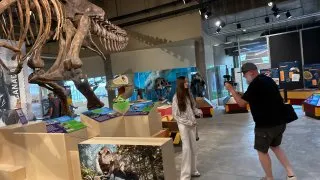 Fotr na tripu 10, dinosauři