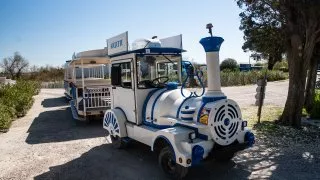 Ford trip, Camargue