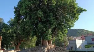 Sardinie 2. díl
