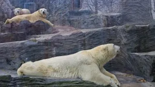 Zoo Praha