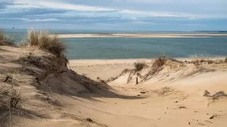 Ford trip, Duna du Pyla