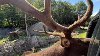 Fotr na tripu 10, Parc Omega